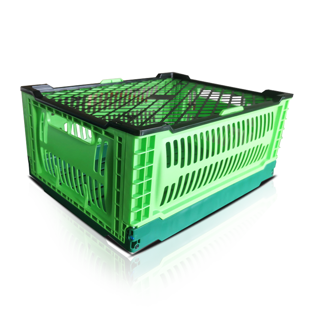 ZJKN403018C Cesto pieghevole Cesto di frutta Cesto di verdure in plastica
